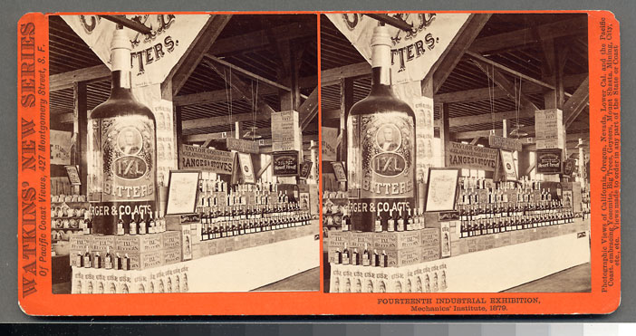 Unnumbered View - Fourteenth Industrial Exhibition, Mechanics' Institute, 1879