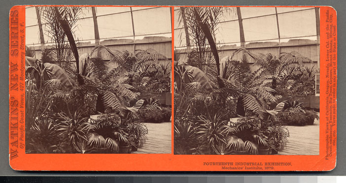 Watkins Unnumbered View - Fourteenth Industrial Exhibition, Mechanics' Institute, 1879