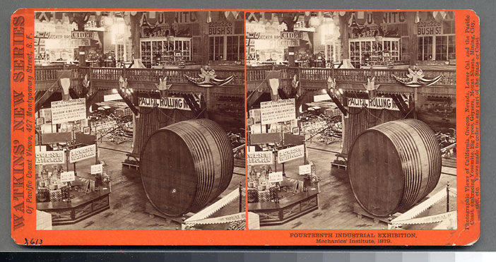 Unnumbered View - Fourteenth Industrial Exhibition, Mechanics' Institute, 1879