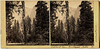 10 - Distant View, Yosemite Falls