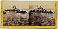 778 - At the Cliff House, Seal Rocks, San Francisco