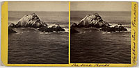 778 - The Seal Rocks