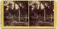 1178 - White and Hatches', Mariposa County, Cal.