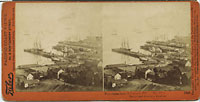 1348 - Panorama from Telegraph Hill (No. 11). Vallejo and Broadway Wharves.