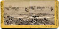 1590 - View from the Calistoga Hotel, Napa County, Cal.