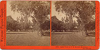 1918 - Lawn View at T. H. Selby's Residence, Fair Oaks, Cal.