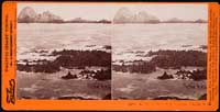 2056 - Sea Lions, West End, Farallone Islands, P.O.