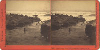 2047 - Sea Lions, West End, Farallone Islands, Pacific Ocean