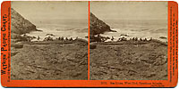 2053 - Sea Lions, West End, Farallone Islands, Pacific Ocean