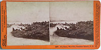 2057 - Sea Lions, West End, Farallone Islands, Pacific Ocean