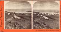 2504 - Headquarters on Tule Lake, taken North from Bluff