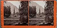3036 - View on the Merced. Yosemite Valley, Mariposa Co., Cal.
