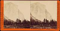 3097 - Tutocanula; El Capitan, 3600 ft., Yosemite Valley, Mariposa County, Cal.