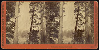 3103 - El Capitan from the Ferry Bend, Yosemite Valley, Mariposa County, Cal.
