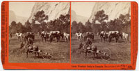 3136 - Lieut. Wheeler's Party in Yosemite, Mariposa County, Cal.
