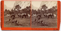 #3136 - Lieut. Wheeler's Party in Yosemite, Mariposa County, Cal.