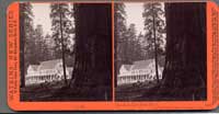 3500 - Mammoth Tree Grove Hotel, Mammoth Tree Grove, Calaveras Co., Cal.