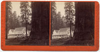 3506 - Mammoth Tree Grove Hotel, Mammoth Tree Grove, Calaveras Co., Cal.