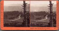 3893 - Carmel. Valley from the Road to the Mission.'