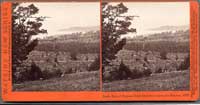 3895 - South End of Cypress Point, from the Road to the Mission.