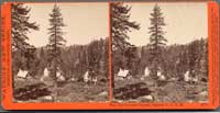 4211 - Soda Springs near Summit Station, C.P.R.R., Cal.