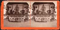 4782 - Pasadena's First Citrus Fruit Fair, Mar. 24, 1880.