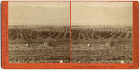 4793 - Pasadena, from Residence of Mrs. Carr.