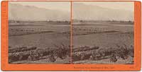 4794 - Pasadena, from Residence of Mrs. Carr, Cal.
