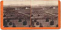 4832 - View from Sierra Madre Villa, San Gabriel, Los Angeles Co., Cal.