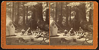 5007 - Harrison Camp, Big Trees, Felton