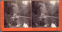 5008 - A glimpse of the R.R. bridge and the San Lorenzo Big Tree Station, Felton, Santa Cruz Co., Cal.