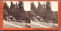 5020 - Glenwood Magnetic Springs, Santa Cruz Co., Cal., Hubert & Luff, Proprietors.