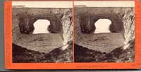 5045 - Natural Bridge, Santa Cruz, Cal.