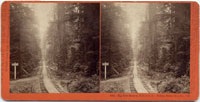 5001 - Big Tree Station, S.P.C.R.R.  Felton, Santa Cruz Co., Cal.