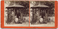5003 - Pavilion on Big Redwood Tree, Felton