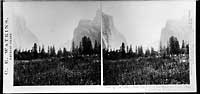 1001 - View up the Valley, from the foot of the Mariposa Trail, Yosemite Valley, Mariposa County, Cal.