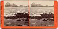 2056 - Sea Lions, West End, Farallone Islands, P.O.