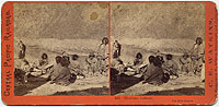 342 - Shoshone Indians. 10 mile Canyon
